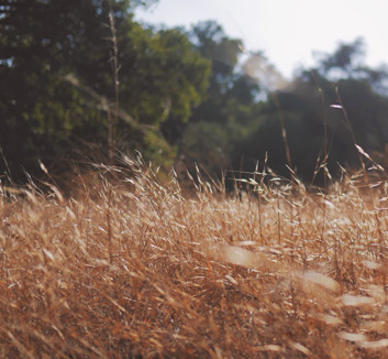 蓝色的风暴席卷费拉里斯：那不勒斯客场制霸，意甲争冠悬念正在消失