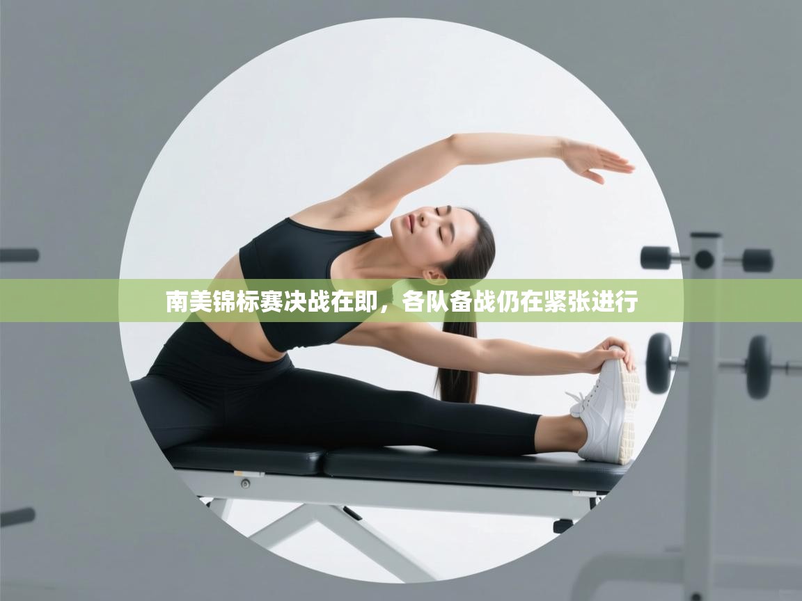 南美锦标赛决战在即,各队备战仍在紧张进行 第2张