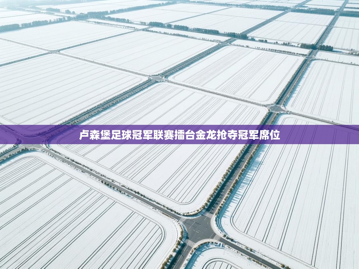 卢森堡足球冠军联赛擂台金龙抢夺冠军席位 第2张