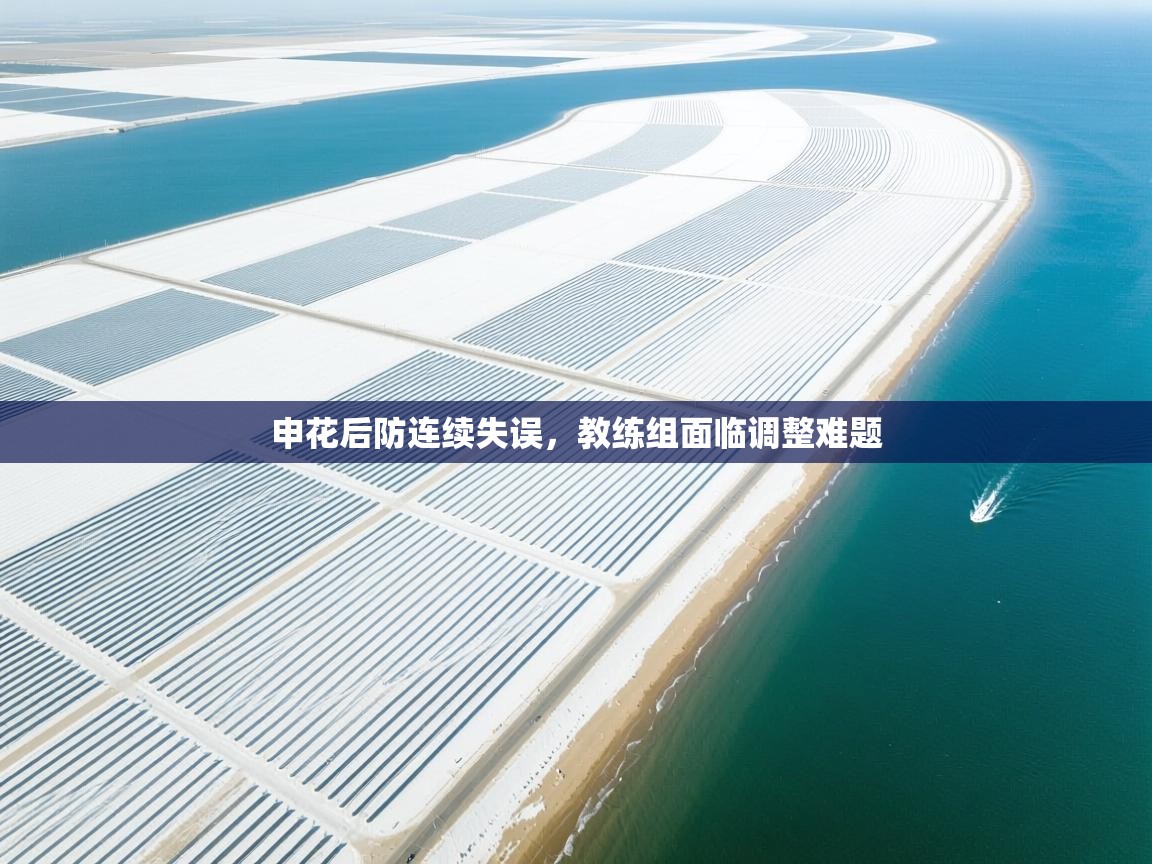 申花后防连续失误,教练组面临调整难题 第2张