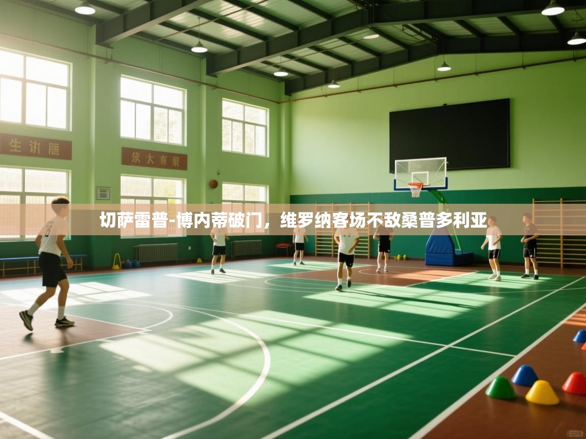 切萨雷普-博内蒂破门，维罗纳客场不敌桑普多利亚  第2张