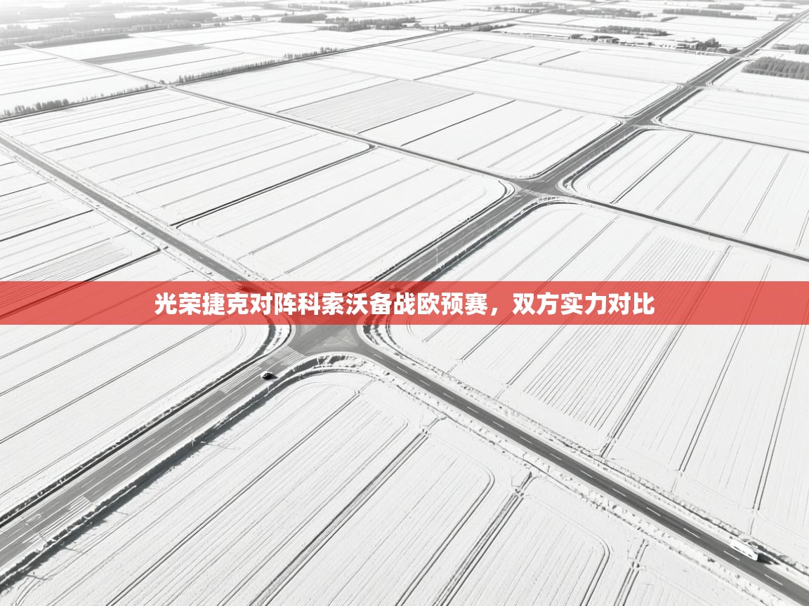 光荣捷克对阵科索沃备战欧预赛，双方实力对比  第2张