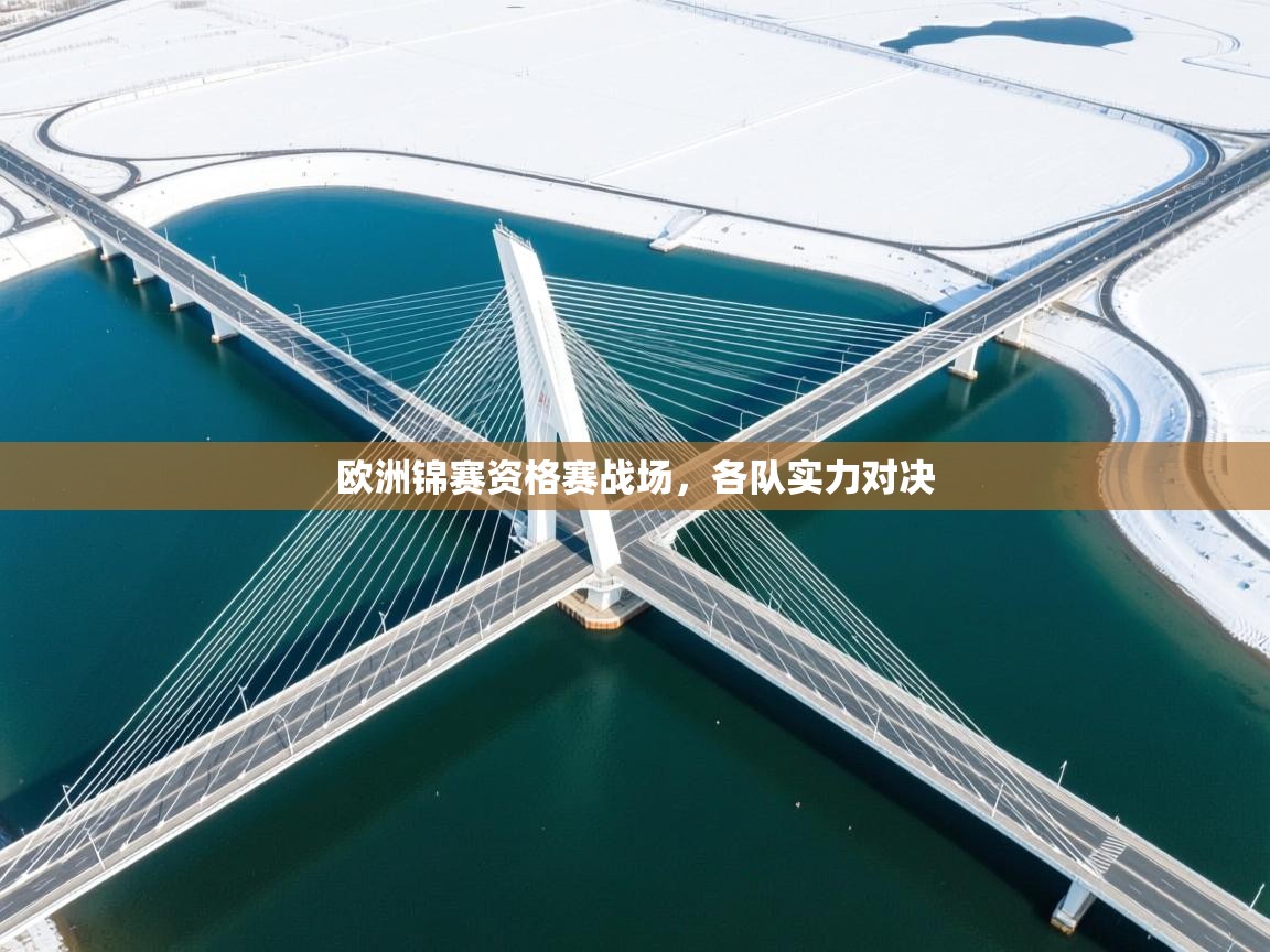 欧洲锦赛资格赛战场，各队实力对决  第2张